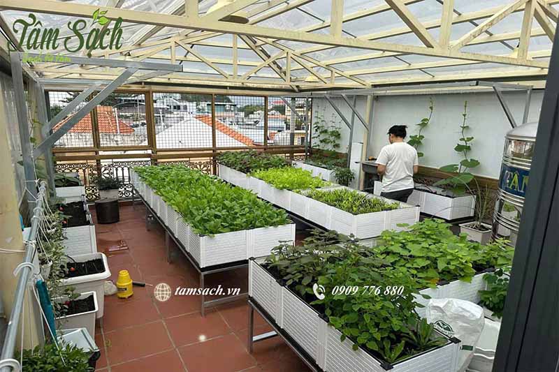 Thiết kế vườn trồng rau sân thượng