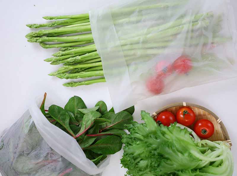 Cách bảo quản rau tươi lâu