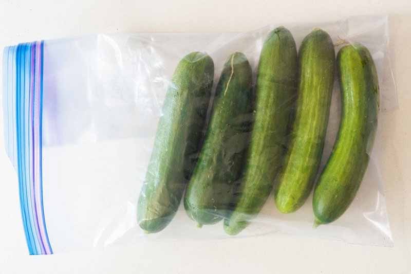 Cách bảo quản rau tươi lâu