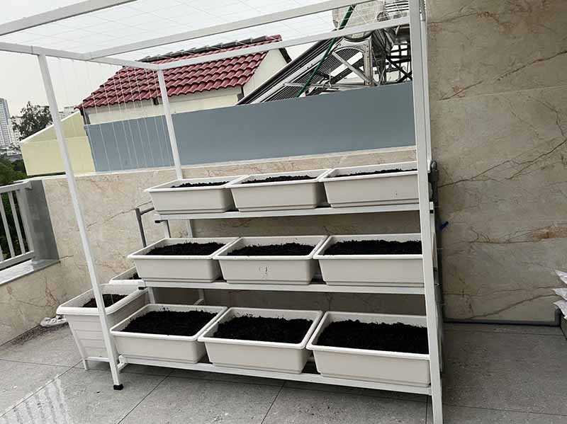 Cải tạo đất trồng rau sân thượng