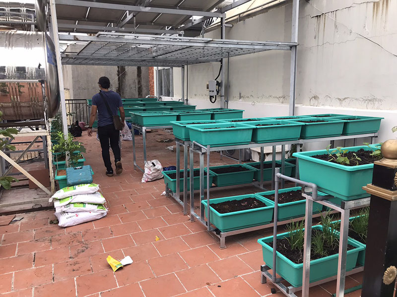 Cải tạo đất trồng rau sân thượng