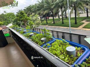 hệ Aquaponics ban công