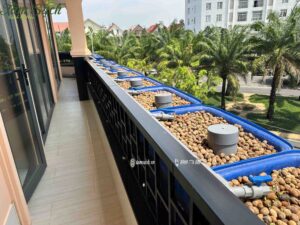 hệ Aquaponics ban công