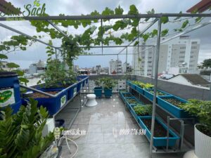 Không gian xanh nhỏ gọn nhưng đầy đủ công năng