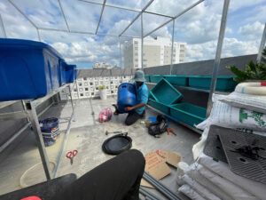 Lắp đặt khay trồng rau trên không gian nhỏ