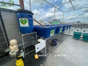 Kết nối hệ thống nước từ hồ cá lên khay rau