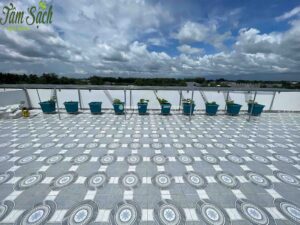 Giàn leo được lắp gọn 1 bên khu vườn