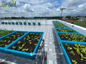Vườn rau thổ canh phù hợp nhà phố tại Long An