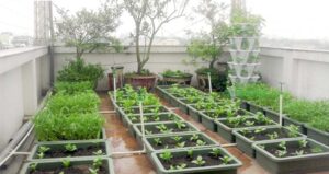 Tự lắp đặt hệ thống tưới tự động tại nhà