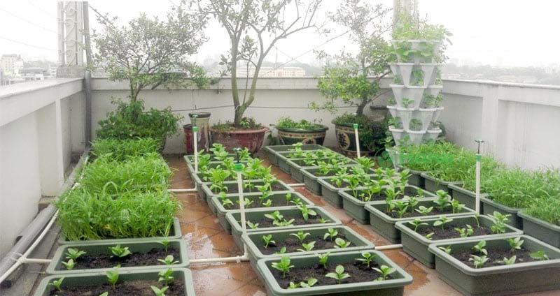 Tự lắp đặt hệ thống tưới tự động tại nhà