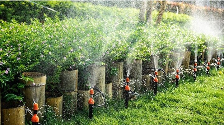 Tự lắp đặt hệ thống tưới tự động tại nhà
