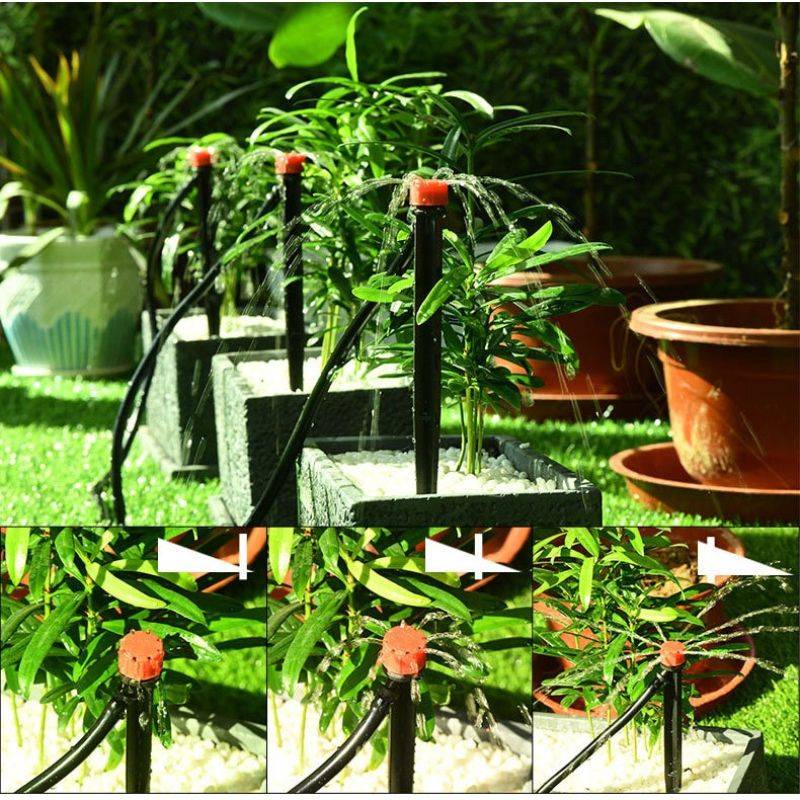 Tưới nhỏ giọt và tưới phun mưa