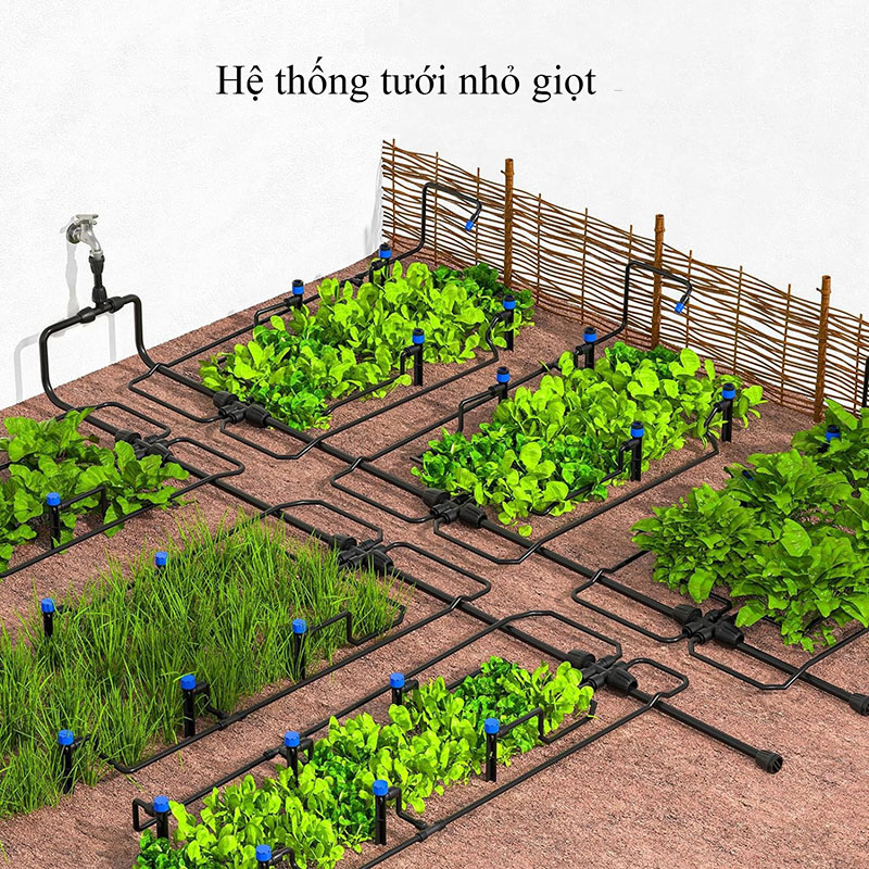Tưới nhỏ giọt và tưới phun mưa