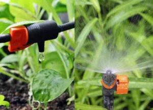 Tưới nhỏ giọt và tưới phun mưa