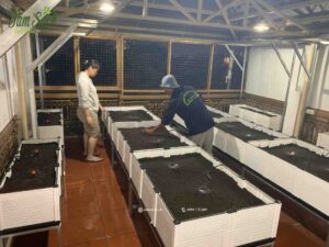 Tưới tự động cho chậu ghép thông minh