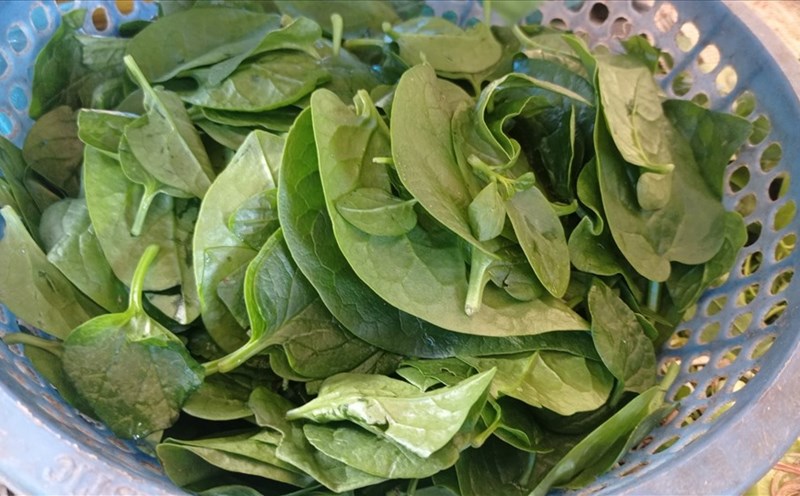 Lợi ích của rau sạch