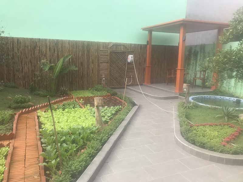 Cây xanh giảm nhiệt nhà phố