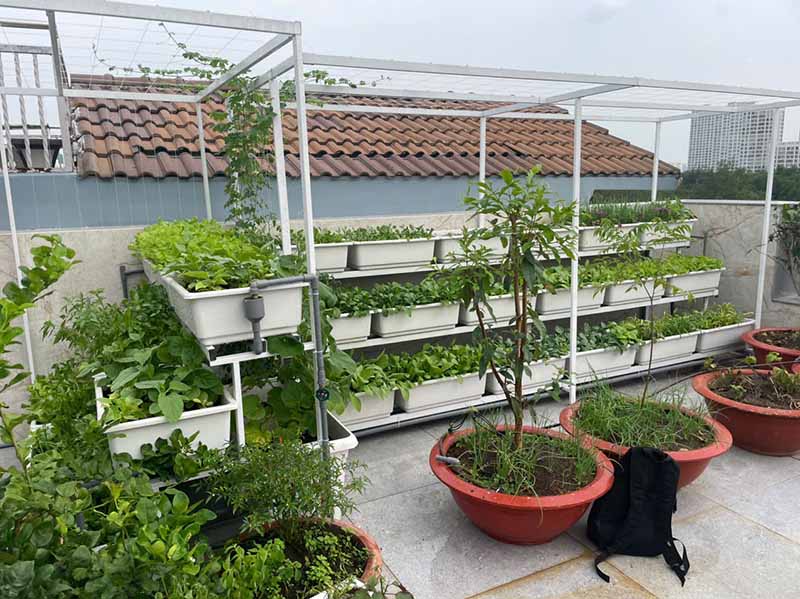 Chi phí làm vườn rau 20m vuông