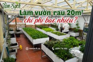 Chi phí làm vườn rau 20m vuông