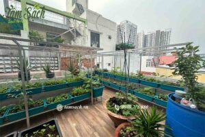 Góc nhìn tổng thể vườn rau sân thượng 20m2 tại Tân Phú