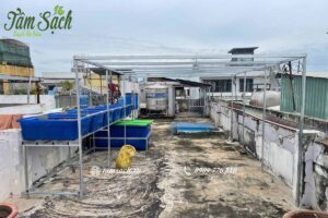 Thi công hệ thống Aquaponics