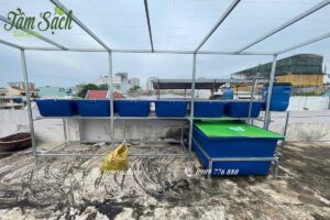 Mô hình aquaponics