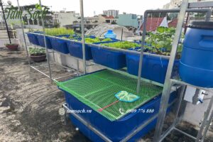 trồng rau sân thượng