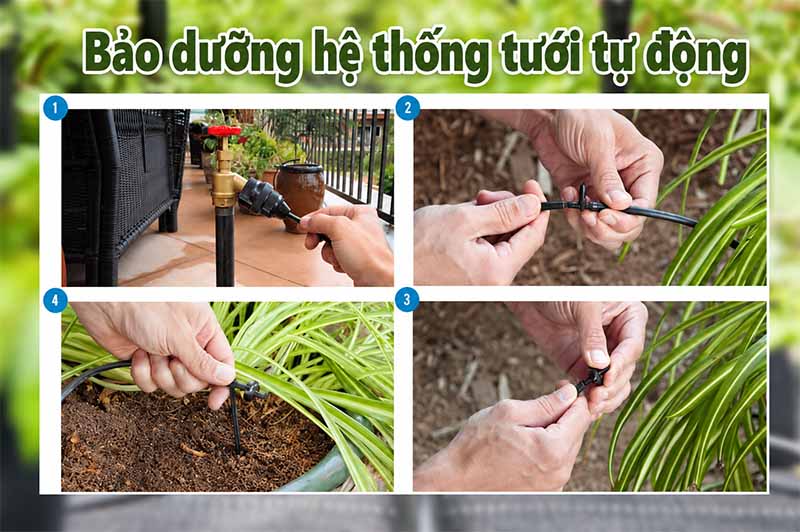 Lỗi hệ thống tưới cây thường gặp