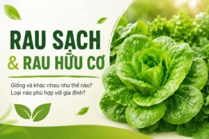 Rau sạch và rau hữu cơ