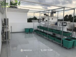 giàn trồng rau sân thượng