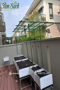 vườn rau chậu ghép