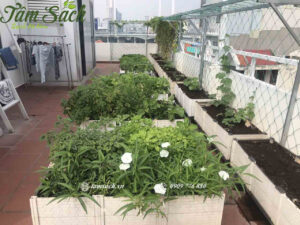 chậu ghép thông minh trồng rau