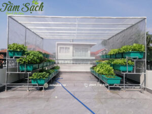 vườn rau sân thượng đẹp