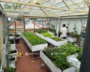 Vườn rau chậu ghép thông minh