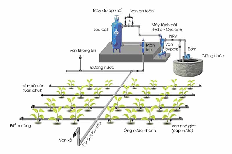 Máy bơm tưới tự động