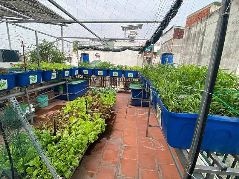 Sân thượng xanh tiết kiệm điện 