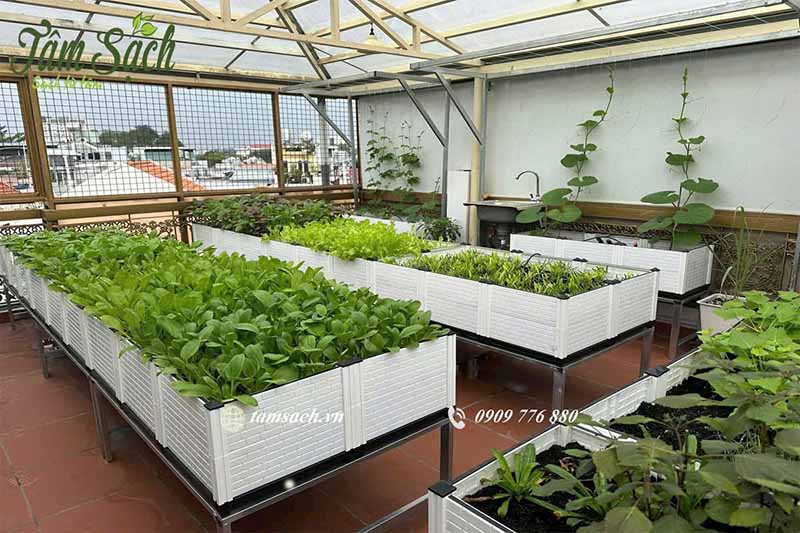 Sân thượng xanh tiết kiệm điện 