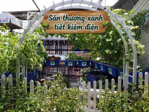 Sân thượng xanh tiết kiệm điện