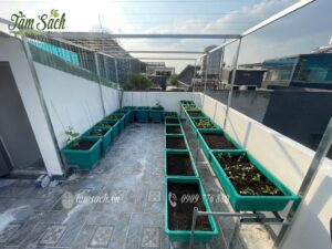 kệ trồng rau 2 tầng kết hợp giàn leo